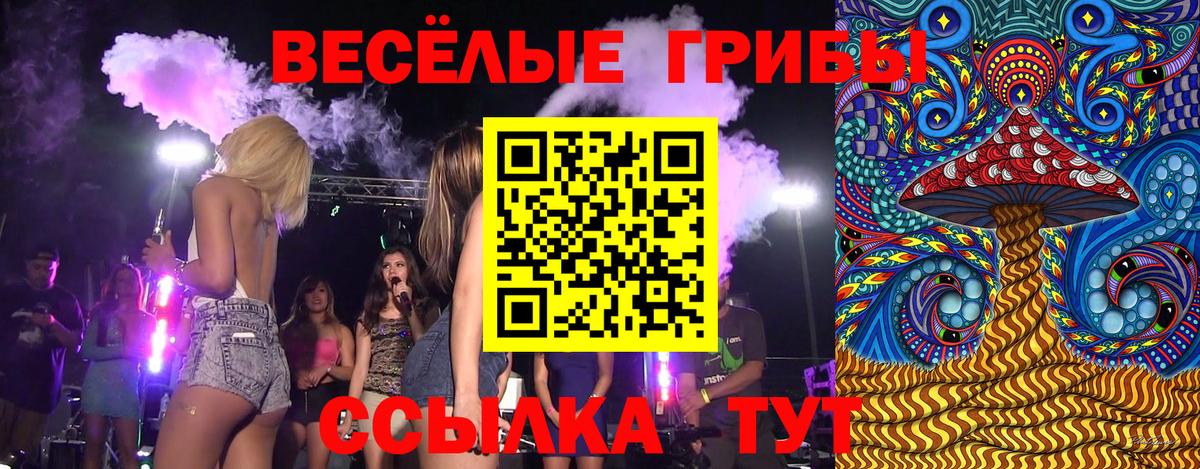 Псилоцибиновые грибы Psilocybe  Вход с VPN  Корсаков  Галлюциногенные грибы Psilocybe 