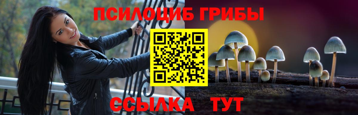 Галлюциногенные грибы прущие грибы Корсаков
